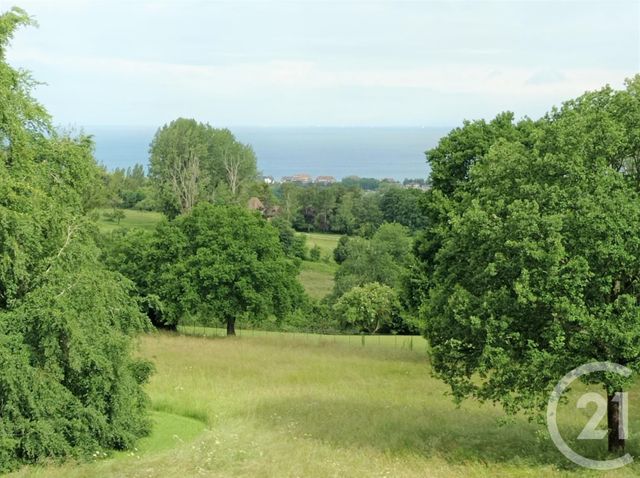 Afficher la photo en grand Appartement F2 à vendre - 2 pièces - 37.39 m2 - TOURGEVILLE - 14 - BASSE-NORMANDIE - Century 21 Tirard-Gardie