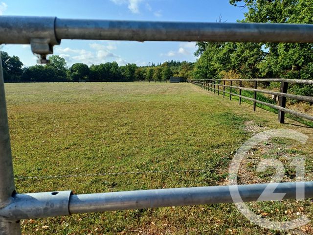 maison à vendre - 8 pièces - 205.5 m2 - MEZIDON VALLEE D AUGE - 14 - BASSE-NORMANDIE - Century 21 Tirard-Gardie